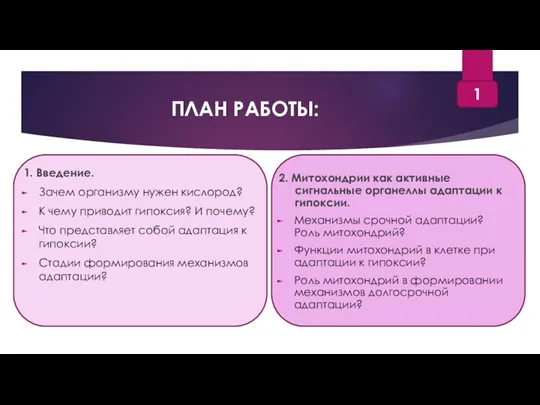 ПЛАН РАБОТЫ: 1. Введение. Зачем организму нужен кислород? К чему