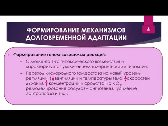 ФОРМИРОВАНИЕ МЕХАНИЗМОВ ДОЛГОВРЕМЕННОЙ АДАПТАЦИИ Формирование геном-зависимых реакций: С момента 1-го