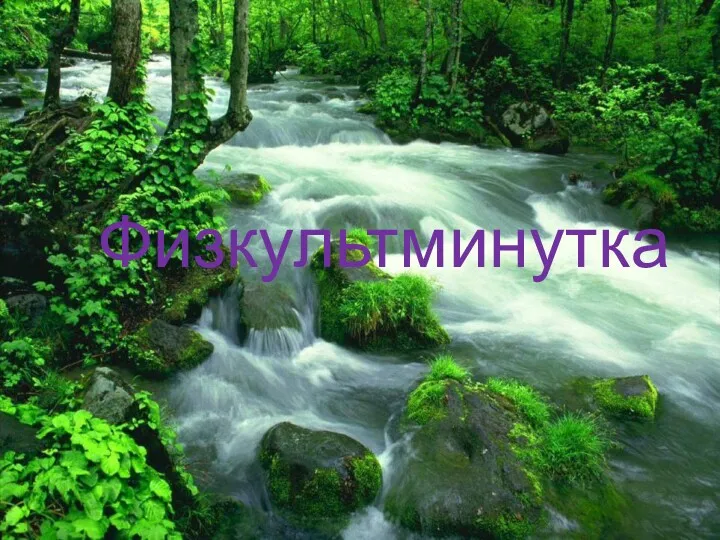 Физкультминутка