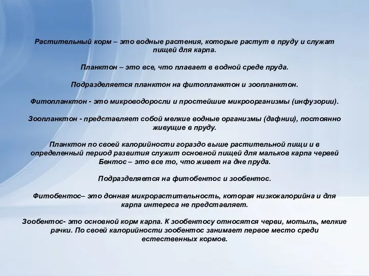 Растительный корм – это водные растения, которые растут в пруду