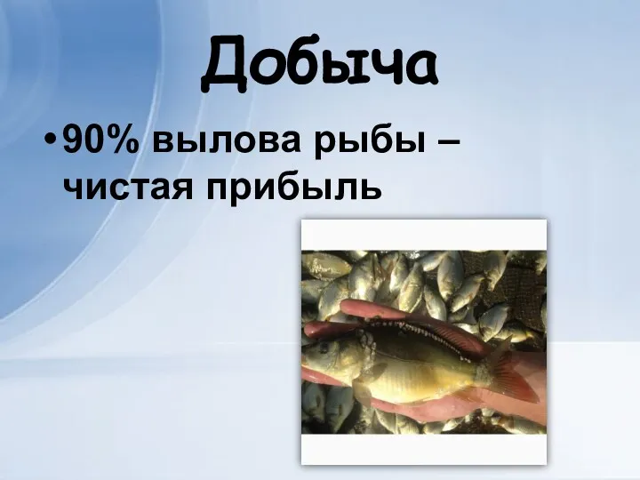 Добыча 90% вылова рыбы – чистая прибыль