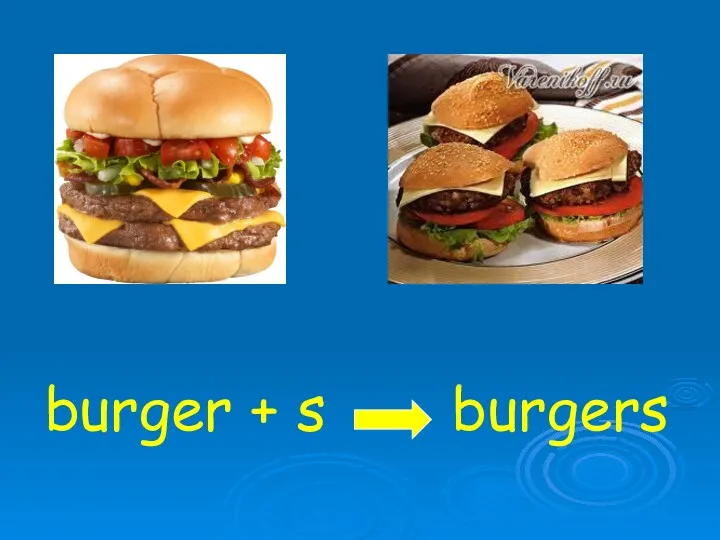 burger + s burgers