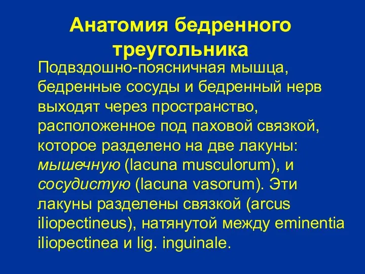 Анатомия бедренного треугольника Подвздошно-поясничная мышца, бедренные сосуды и бедренный нерв