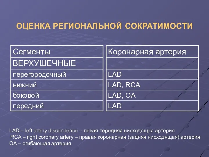 ОЦЕНКА РЕГИОНАЛЬНОЙ СОКРАТИМОСТИ LAD – left artery discendence – левая передняя нисходящая артерия