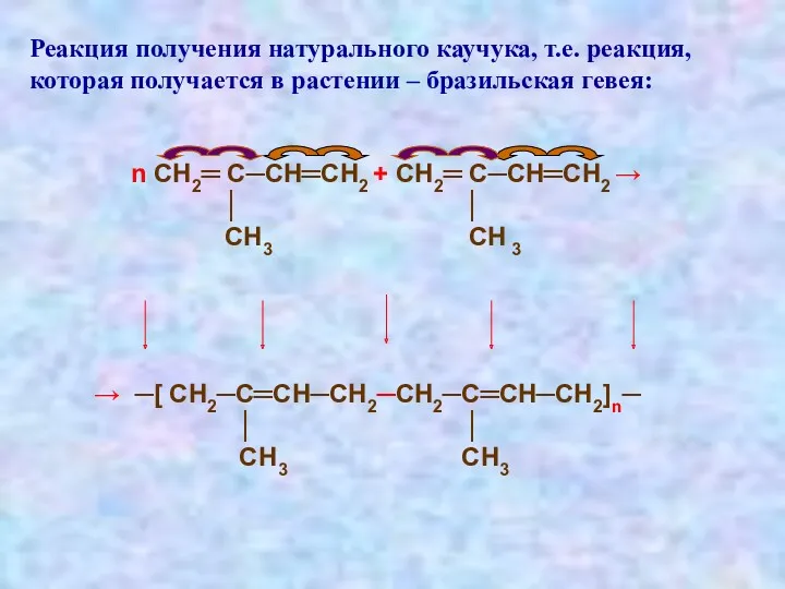 Реакция получения натурального каучука, т.е. реакция, которая получается в растении