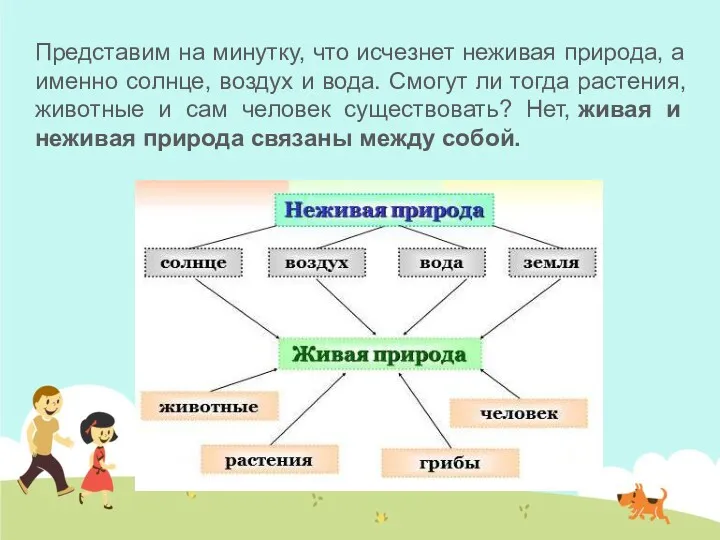 Представим на минутку, что исчезнет неживая природа, а именно солнце,