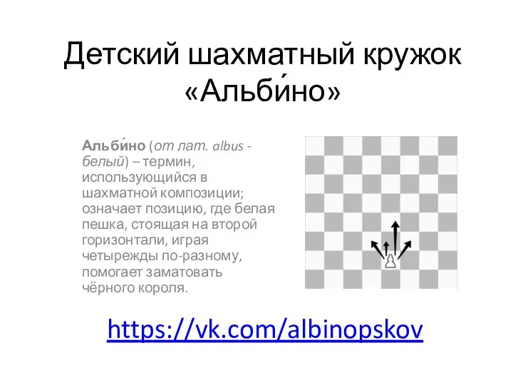 Детский шахматный кружок Альбино