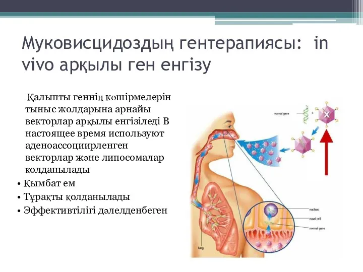 Муковисцидоздың гентерапиясы: in vivo арқылы ген енгізу Қалыпты геннің көшірмелерін