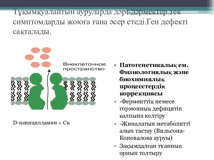 Тұқымқуалайтын ауруларда дәрі-дәрмектер тек симптомдарды жоюға ғана әсер етеді.Ген дефекті