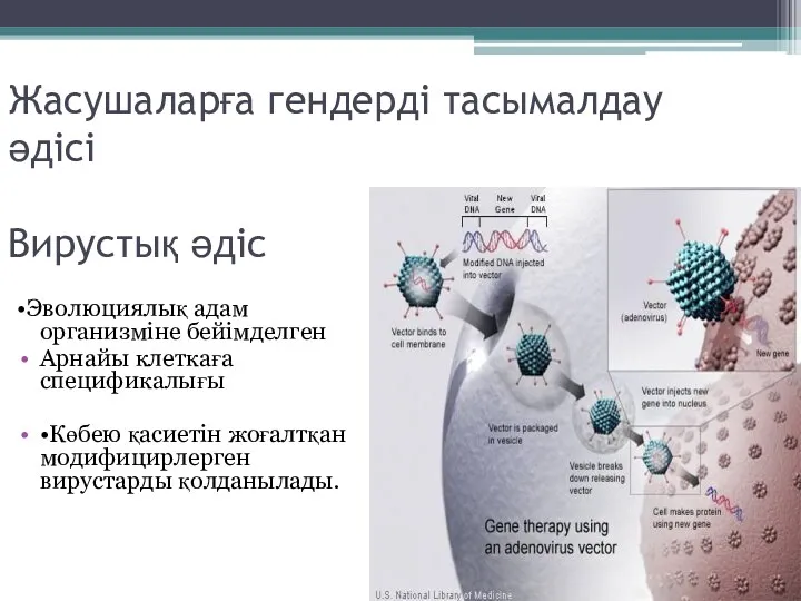 Жасушаларға гендерді тасымалдау әдісі Вирустық әдіс •Эволюциялық адам организміне бейімделген