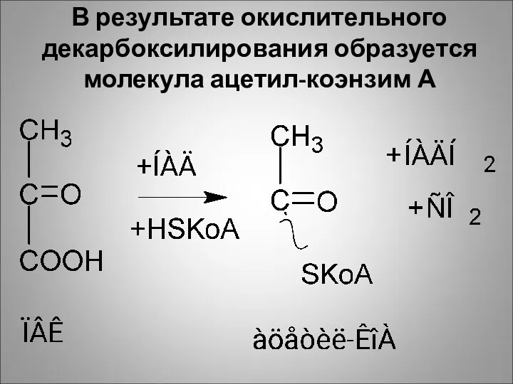 В результате окислительного декарбоксилирования образуется молекула ацетил-коэнзим А