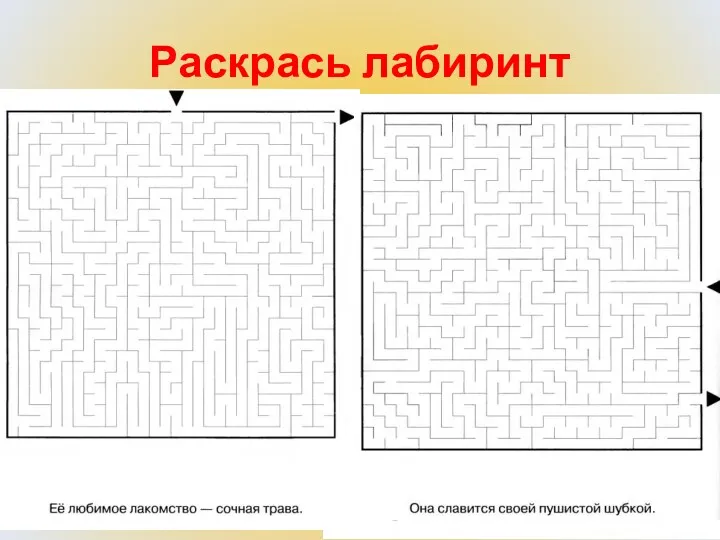 Раскрась лабиринт