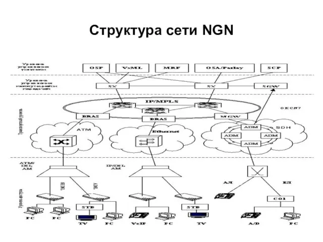 Структура сети NGN