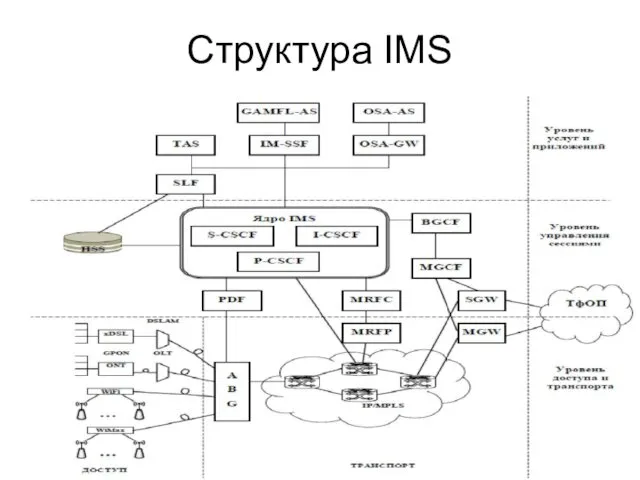 Структура IMS