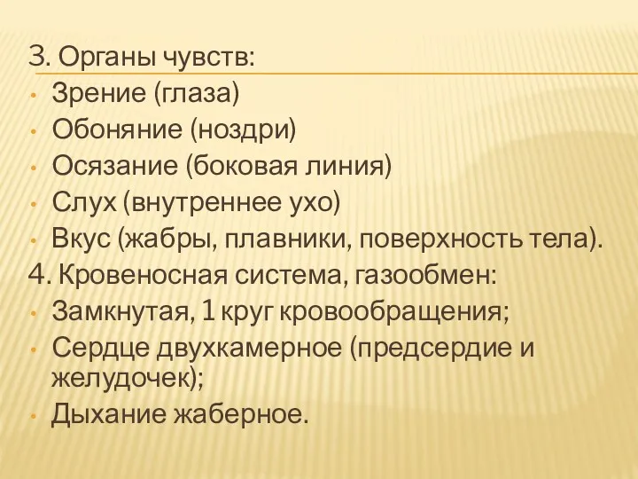 3. Органы чувств: Зрение (глаза) Обоняние (ноздри) Осязание (боковая линия)