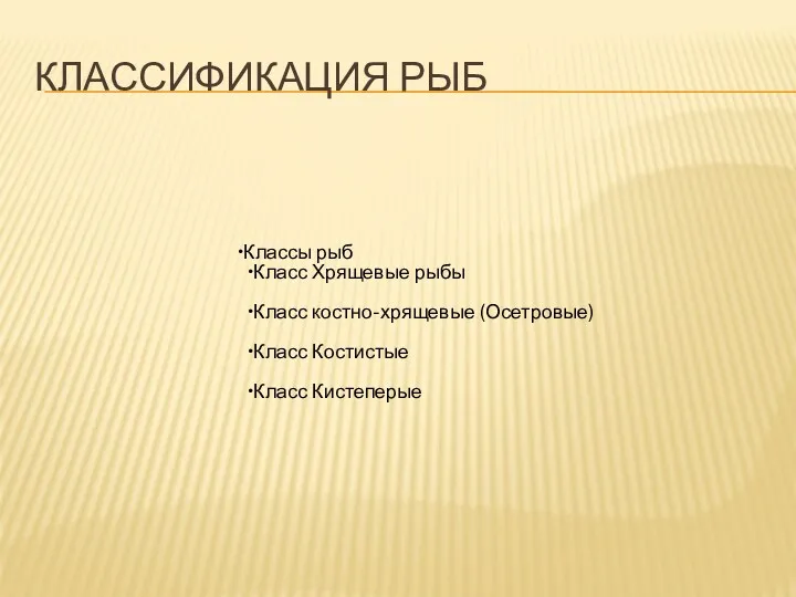 КЛАССИФИКАЦИЯ РЫБ Классы рыб Класс Хрящевые рыбы Класс костно-хрящевые (Осетровые) Класс Костистые Класс Кистеперые