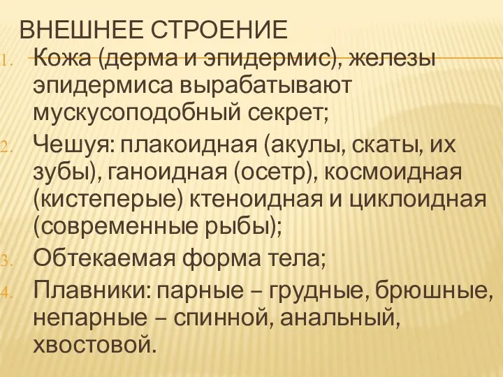 ВНЕШНЕЕ СТРОЕНИЕ Кожа (дерма и эпидермис), железы эпидермиса вырабатывают мускусоподобный