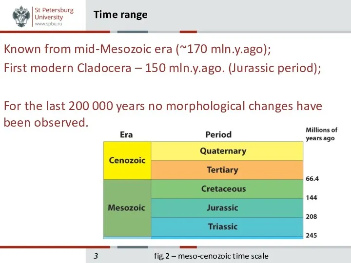 Known from mid-Mesozoic era (~170 mln.y.ago); First modern Cladocera –
