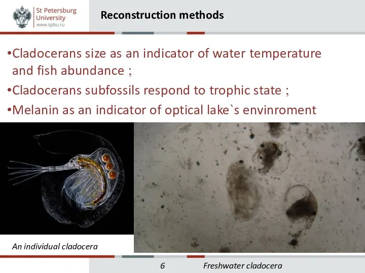 Cladocerans size as an indicator of water temperature and fish