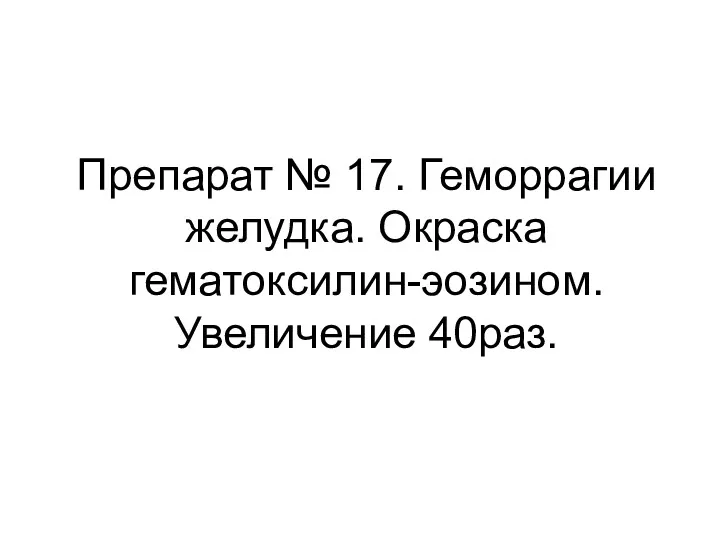 Препарат № 17. Геморрагии желудка. Окраска гематоксилин-эозином. Увеличение 40раз.