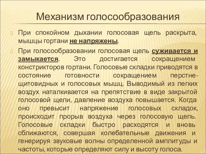 Механизм голосообразования При спокойном дыхании голосовая щель раскрыта, мышцы гортани