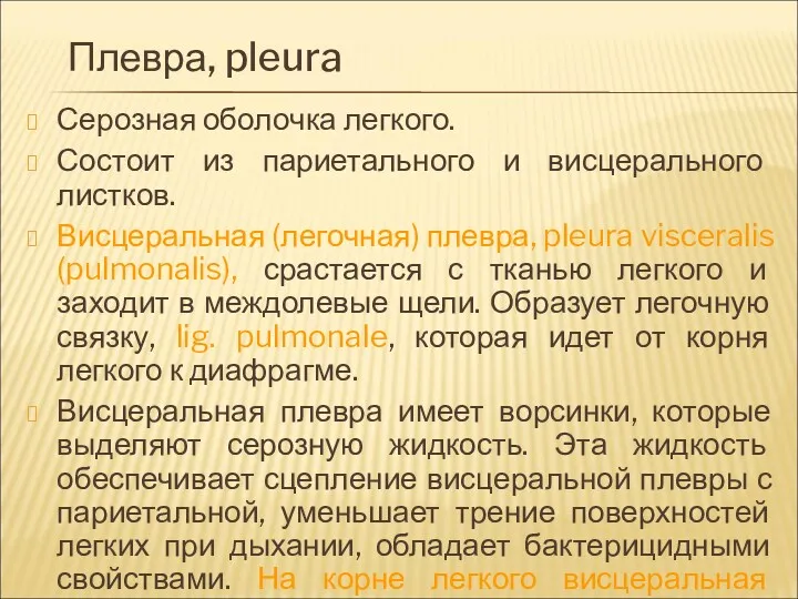 Плевра, pleura Серозная оболочка легкого. Состоит из париетального и висцерального