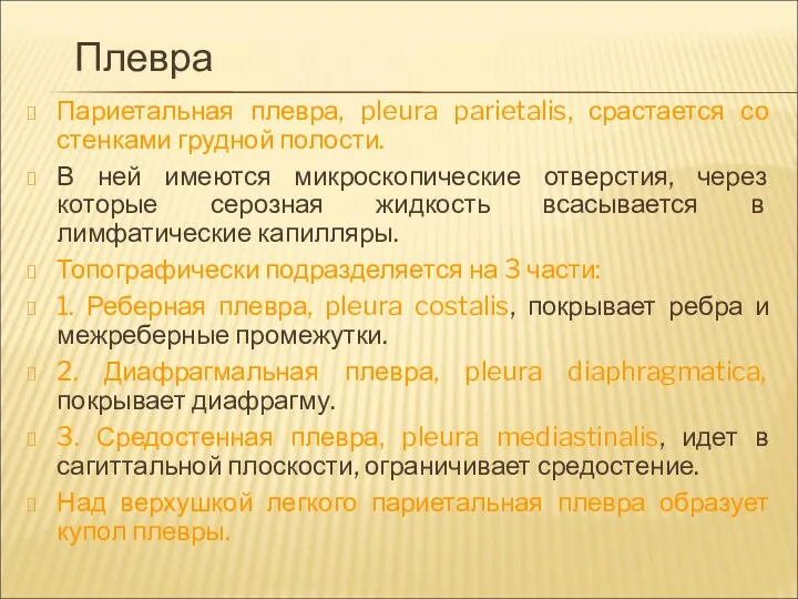 Плевра Париетальная плевра, pleura parietalis, срастается со стенками грудной полости.