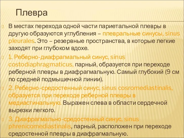 Плевра В местах перехода одной части париетальной плевры в другую