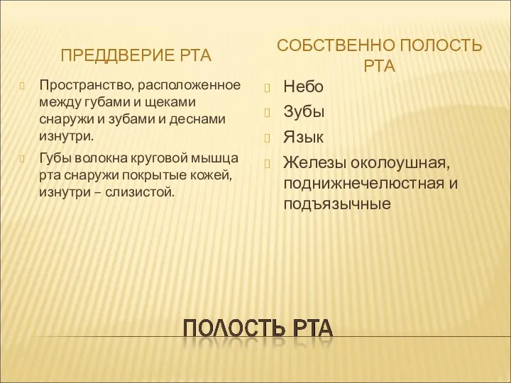 ПРЕДДВЕРИЕ РТА СОБСТВЕННО ПОЛОСТЬ РТА Пространство, расположенное между губами и