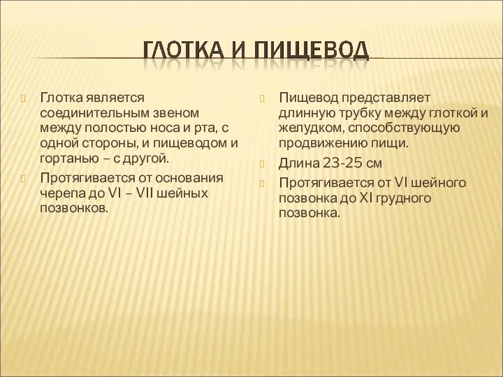 Глотка является соединительным звеном между полостью носа и рта, с