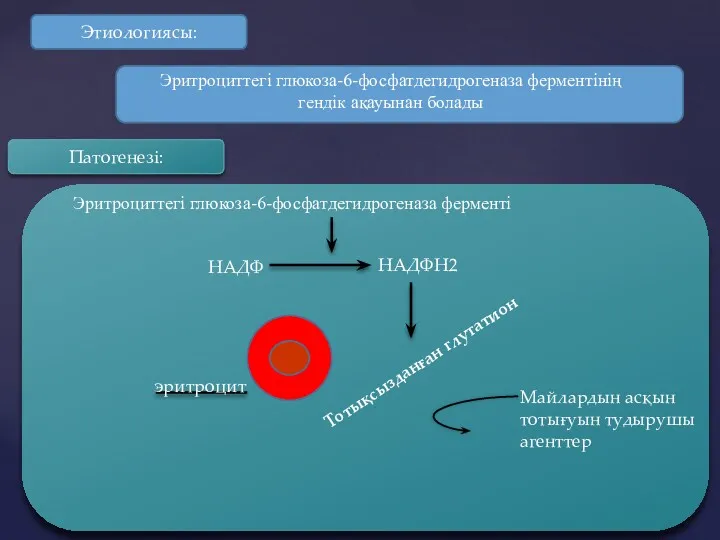 Эритроциттегі глюкоза-6-фосфатдегидрогеназа ферментінің гендік ақауынан болады Этиологиясы: Патогенезі: Эритроциттегі глюкоза-6-фосфатдегидрогеназа ферменті НАДФ НАДФН2