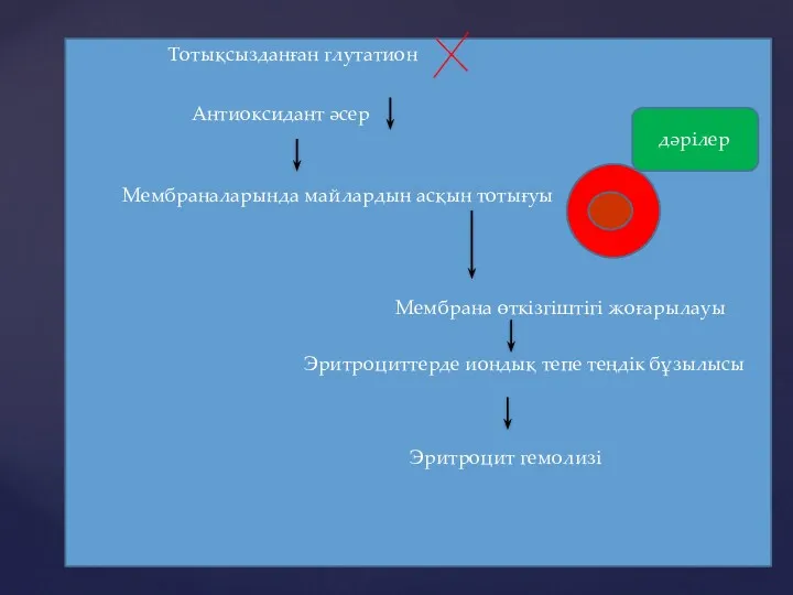 Тотықсызданған глутатион Антиоксидант әсер Мембраналарында майлардын асқын тотығуы Мембрана өткізгіштігі жоғарылауы Эритроциттерде иондық