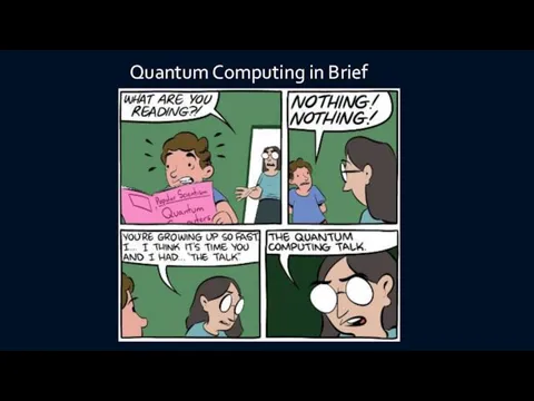 Quantum Computing in Brief