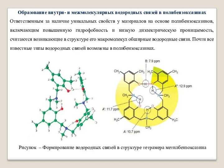 Образование внутри- и межмолекулярных водородных связей в полибензоксазинах Ответственным за