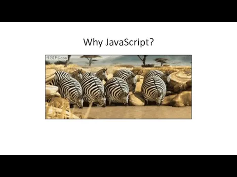 Why JavaScript?