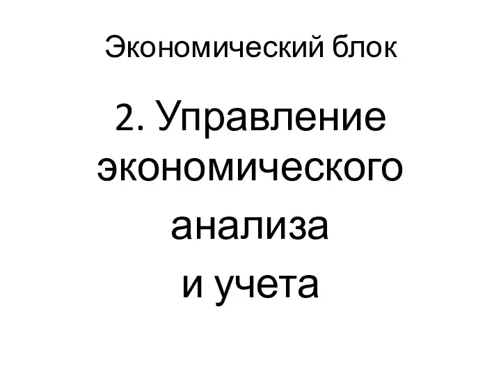 Экономический блок 2. Управление экономического анализа и учета