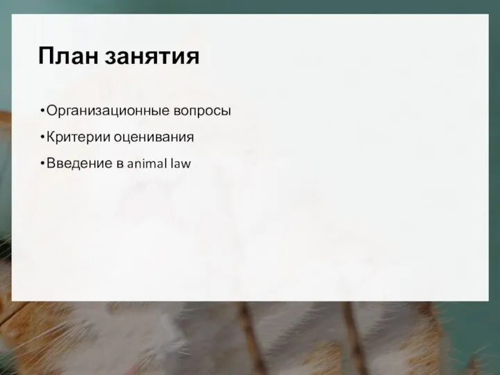 План занятия Организационные вопросы Критерии оценивания Введение в animal law