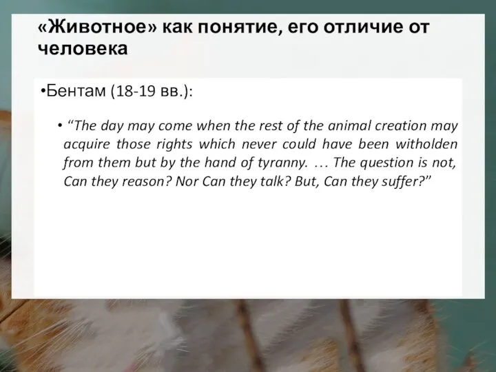 Бентам (18-19 вв.): “The day may come when the rest of the animal