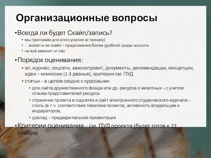 Организационные вопросы Всегда ли будет Скайп/запись? мы приложим для этого