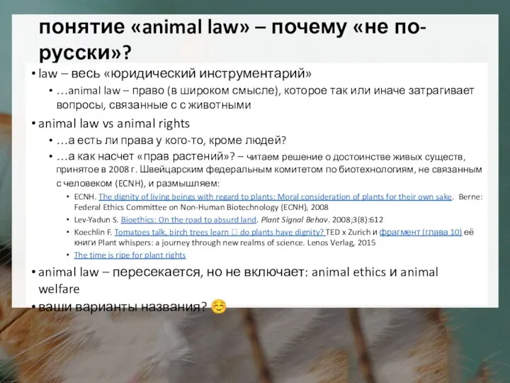 понятие «animal law» – почему «не по-русски»? law – весь «юридический инструментарий» …animal