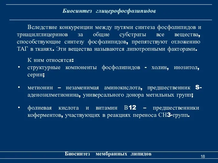 Биосинтез глицерофосфолипидов Биосинтез мембранных липидов Вследствие конкуренции между путями синтеза