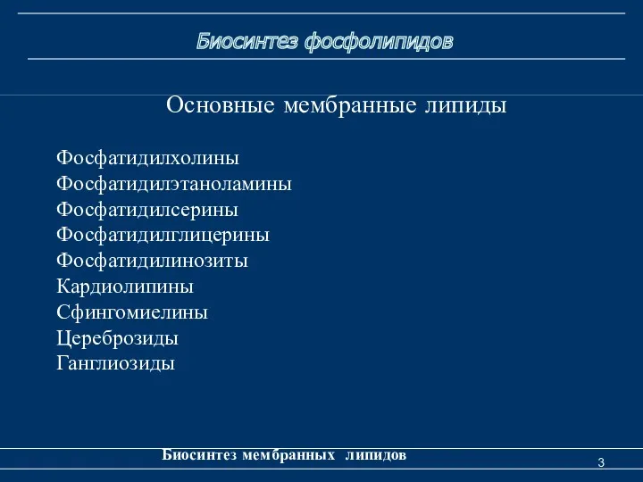 Биосинтез фосфолипидов Биосинтез мембранных липидов Основные мембранные липиды Фосфатидилхолины Фосфатидилэтаноламины