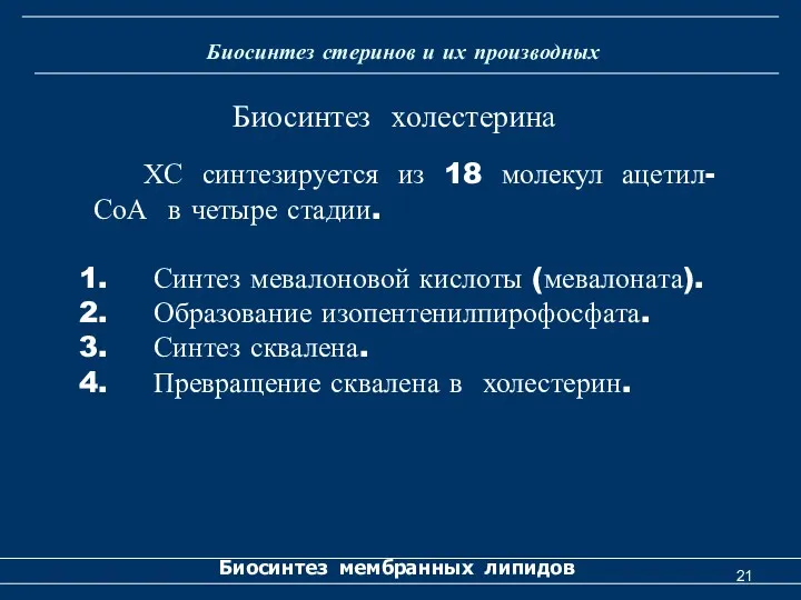 Биосинтез стеринов и их производных Биосинтез мембранных липидов ХС синтезируется