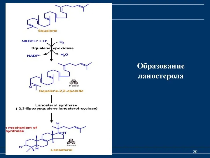 Образование ланостерола