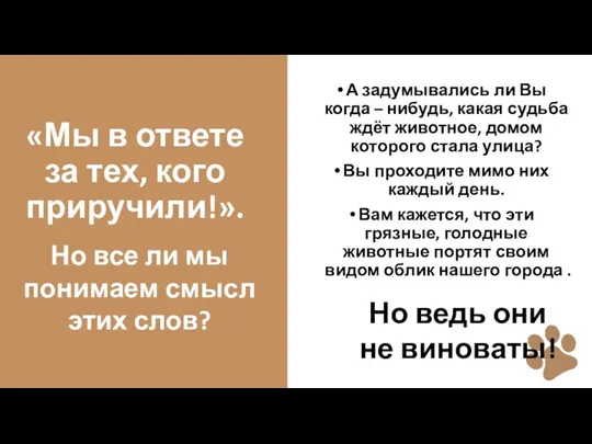 «Мы в ответе за тех, кого приручили!». А задумывались ли