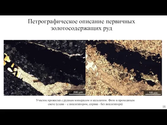 Участок прожилка с рудным минералом и кальцитом. Фото в проходящем свете (слева –