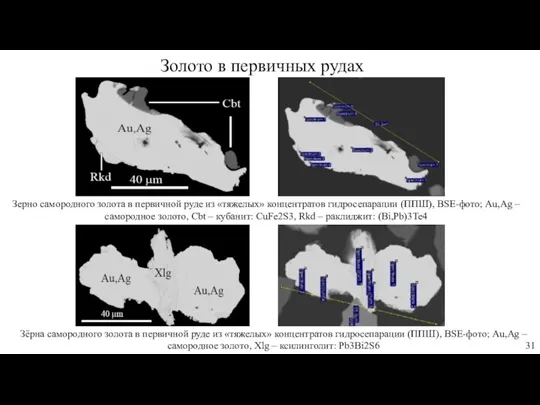 Зерно самородного золота в первичной руде из «тяжелых» концентратов гидросепарации (ППШ), BSE-фото; Au,Ag