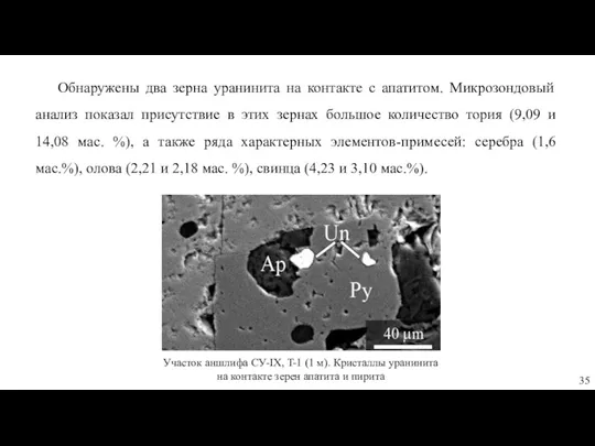 Участок аншлифа СУ-IX, T-1 (1 м). Кристаллы уранинита на контакте зерен апатита и