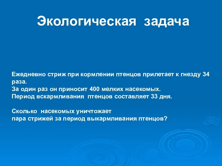 Экологическая задача Ежедневно стриж при кормлении птенцов прилетает к гнезду