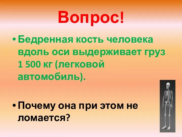 Вопрос! Бедренная кость человека вдоль оси выдерживает груз 1 500